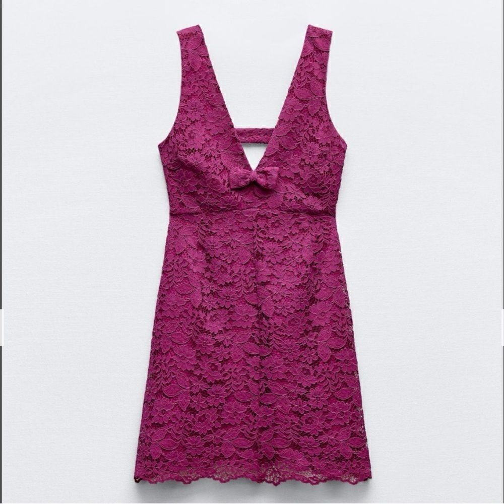 Zara Lace Cutout Pinafore Mini Dress NWT